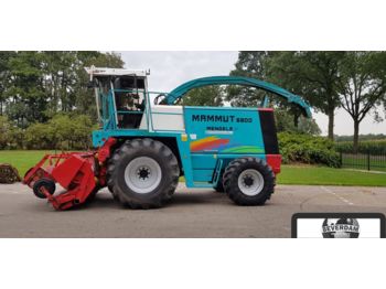 Mengele Mammut 6800 - Forage harvester