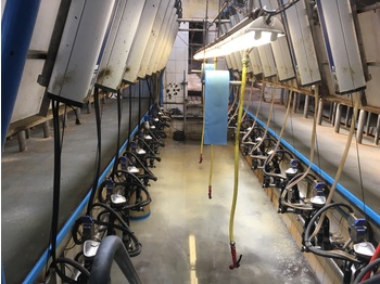 DELAVAL 2X10 side-by-side - Milking equipment