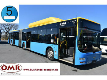 City bus MAN A23 Lion´s City CNG/4-türig/Orginal km/3xvorh.: picture 1