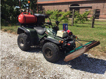 Kawasaki KLF300 4wd - Side-by-side/ ATV