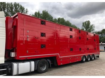 PEZZAIOLI SBA31U - Livestock semi-trailer