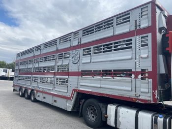  Pezzaioli , 3 Stock , Viehtransporter  , Tränkeranlage, 2 Stück - Livestock semi-trailer