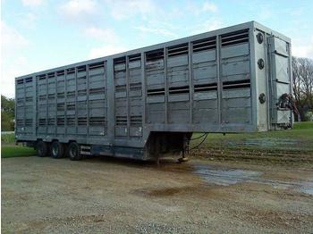 Pezzaioli 3 stock. schweine auflieger  - Livestock semi-trailer