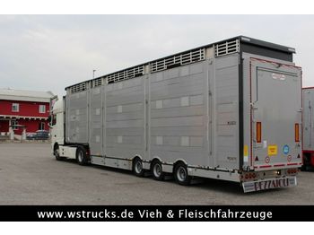 Pezzaioli SBA31-SR  3 Stock  Vermietung  - Livestock semi-trailer