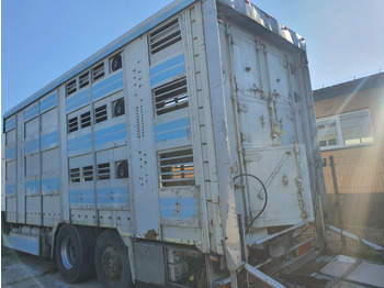  Zabudowa do zwierząt - Livestock semi-trailer