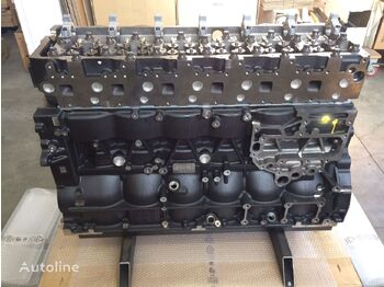 Engine for Truck MAN D2676LF45: picture 4