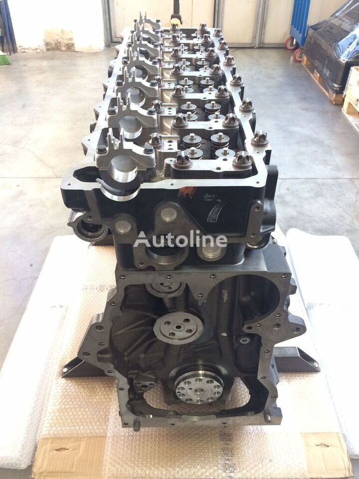 Engine for Truck MAN D2676LF45: picture 2