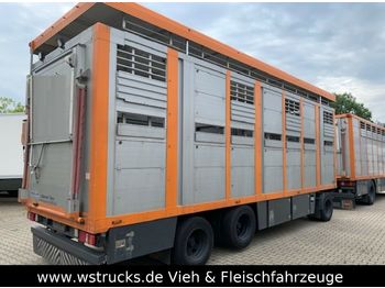 Menke 2 Stock Ausahrbares Dach Vollalu  - Livestock trailer