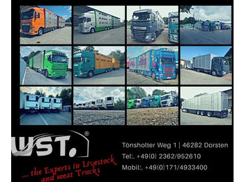 Menke 3 Stock Lüfter/Hubdach   Vollalu Typ 2  - Livestock trailer