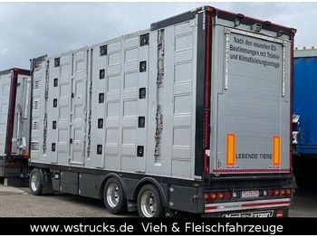 Menke 4 Stock Ausahrbares Dach  Vollalu Typ 2  - Livestock trailer