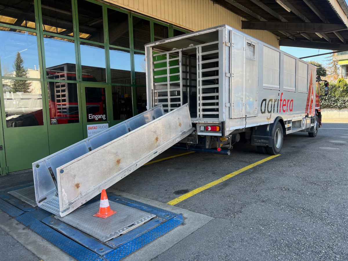 Livestock truck IVECO 140E28 Eurocargo: picture 11