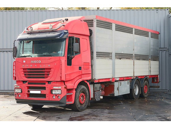 Livestock truck IVECO STRALIS 260 BDF: picture 2