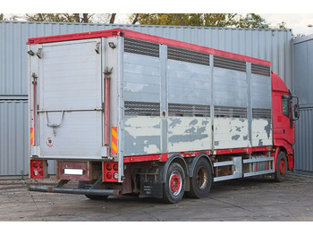 Livestock truck IVECO STRALIS 260 BDF: picture 4