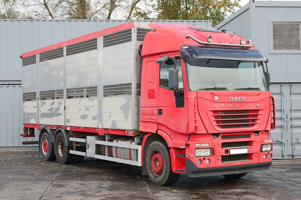 Livestock truck IVECO STRALIS 260 BDF: picture 3