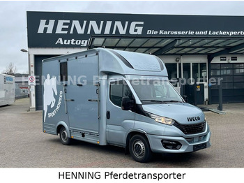 Horse truck IVECO Daily