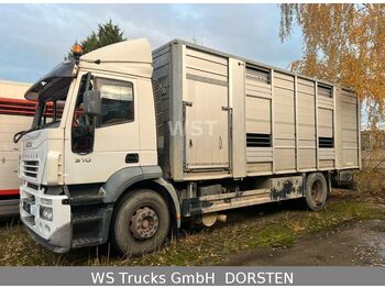 Livestock truck Iveco Stralis 310 Zweistock  Fahrerhaus beschädigt: picture 2