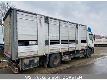 Livestock truck Iveco Stralis 310 Zweistock  Fahrerhaus beschädigt: picture 4