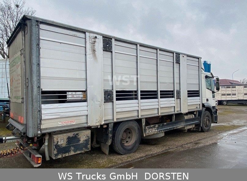 Livestock truck Iveco Stralis 310 Zweistock  Fahrerhaus beschädigt: picture 4