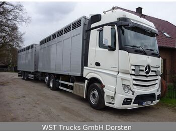 Livestock truck Mercedes-Benz Actros 2545 L BDF Menke Einstock "Neu" Mehrfach: picture 2