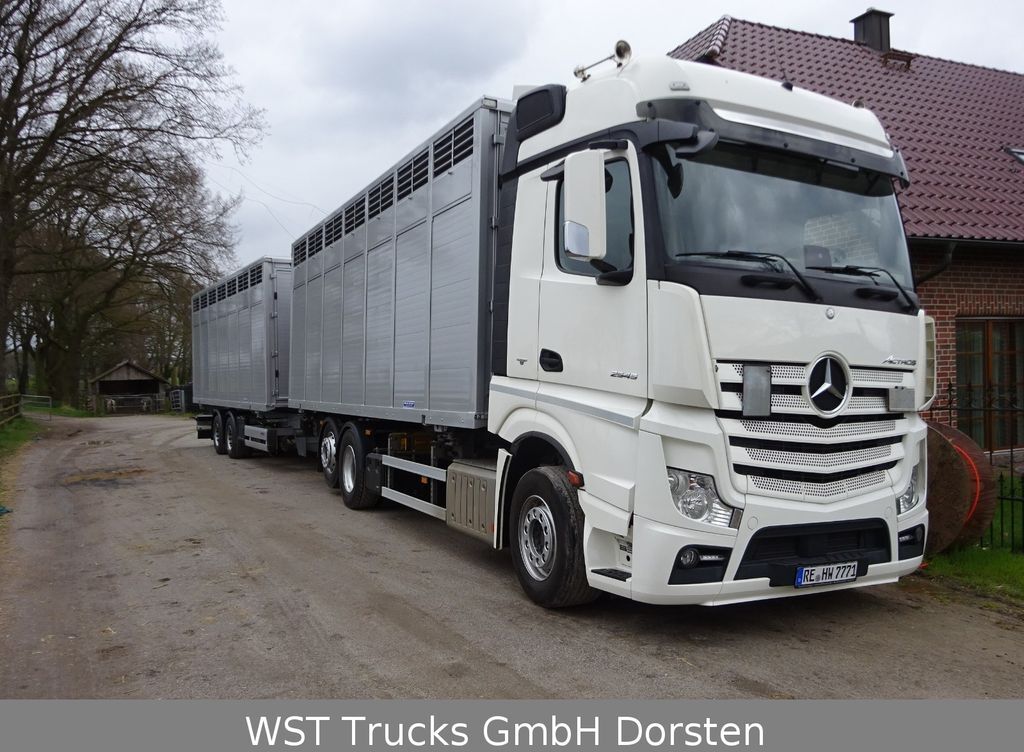 Livestock truck Mercedes-Benz Actros 2545 L BDF Menke Einstock "Neu" Mehrfach: picture 3