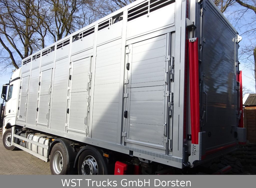 Livestock truck Mercedes-Benz Actros 2545 L BDF Menke Einstock "Neu" Mehrfach: picture 11