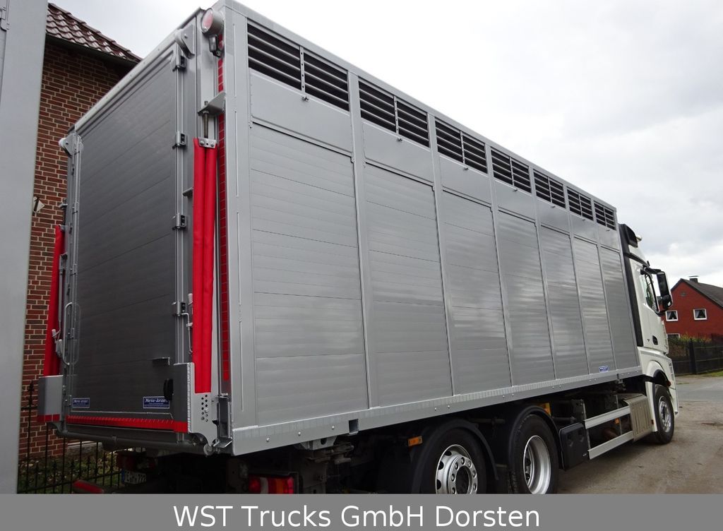 Livestock truck Mercedes-Benz Actros 2545 L BDF Menke Einstock "Neu" Mehrfach: picture 6