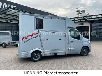 Horse truck, Van Renault Master *3-Sitzer* *KURZ*: picture 3