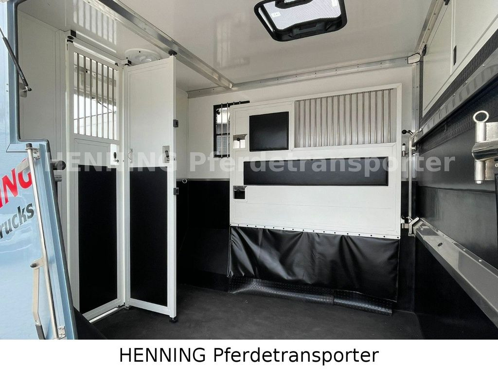 Horse truck, Van Renault Master *3-Sitzer* *KURZ*: picture 6