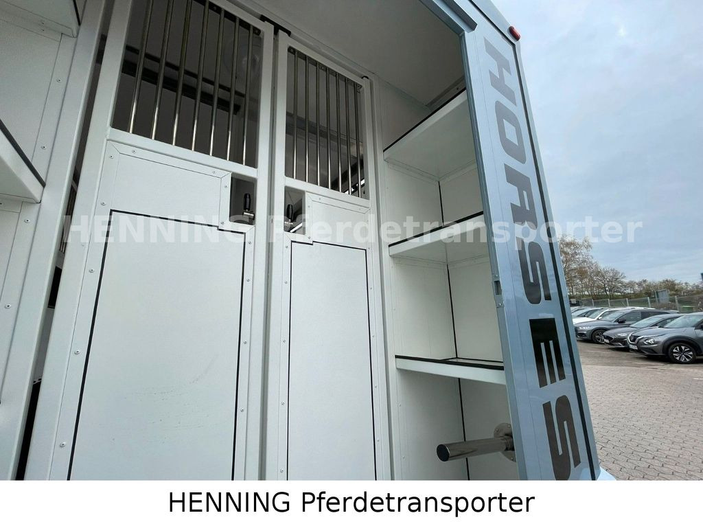 Horse truck, Van Renault Master *3-Sitzer* *KURZ*: picture 10