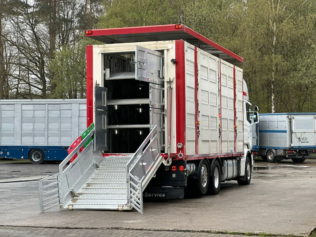 Livestock truck Scania R490 EU6 6x2 4.Stock Menke m. Hubdach & Tränke: picture 8