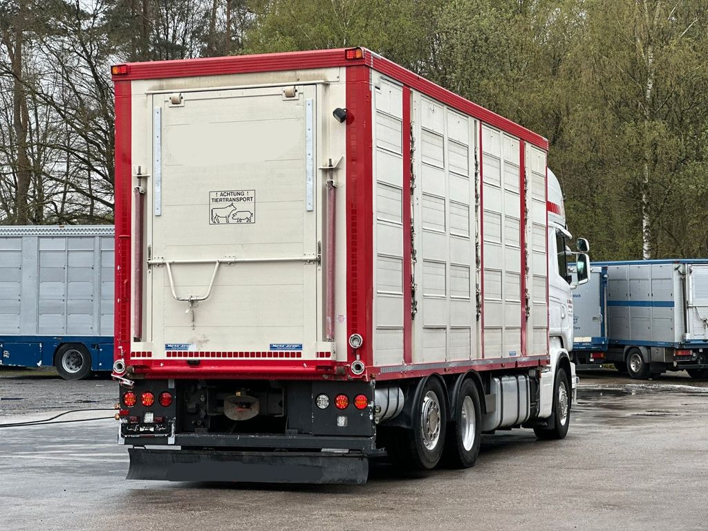 Livestock truck Scania R490 EU6 6x2 4.Stock Menke m. Hubdach & Tränke: picture 7