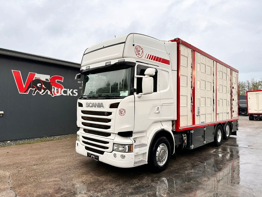 Livestock truck Scania R490 EU6 6x2 4.Stock Menke m. Hubdach & Tränke: picture 2