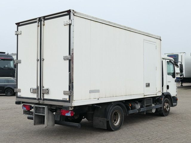Refrigerated van MAN 8.220 TGL BL 4x2, Thermo King, 3. Sitz, 5m lang: picture 6