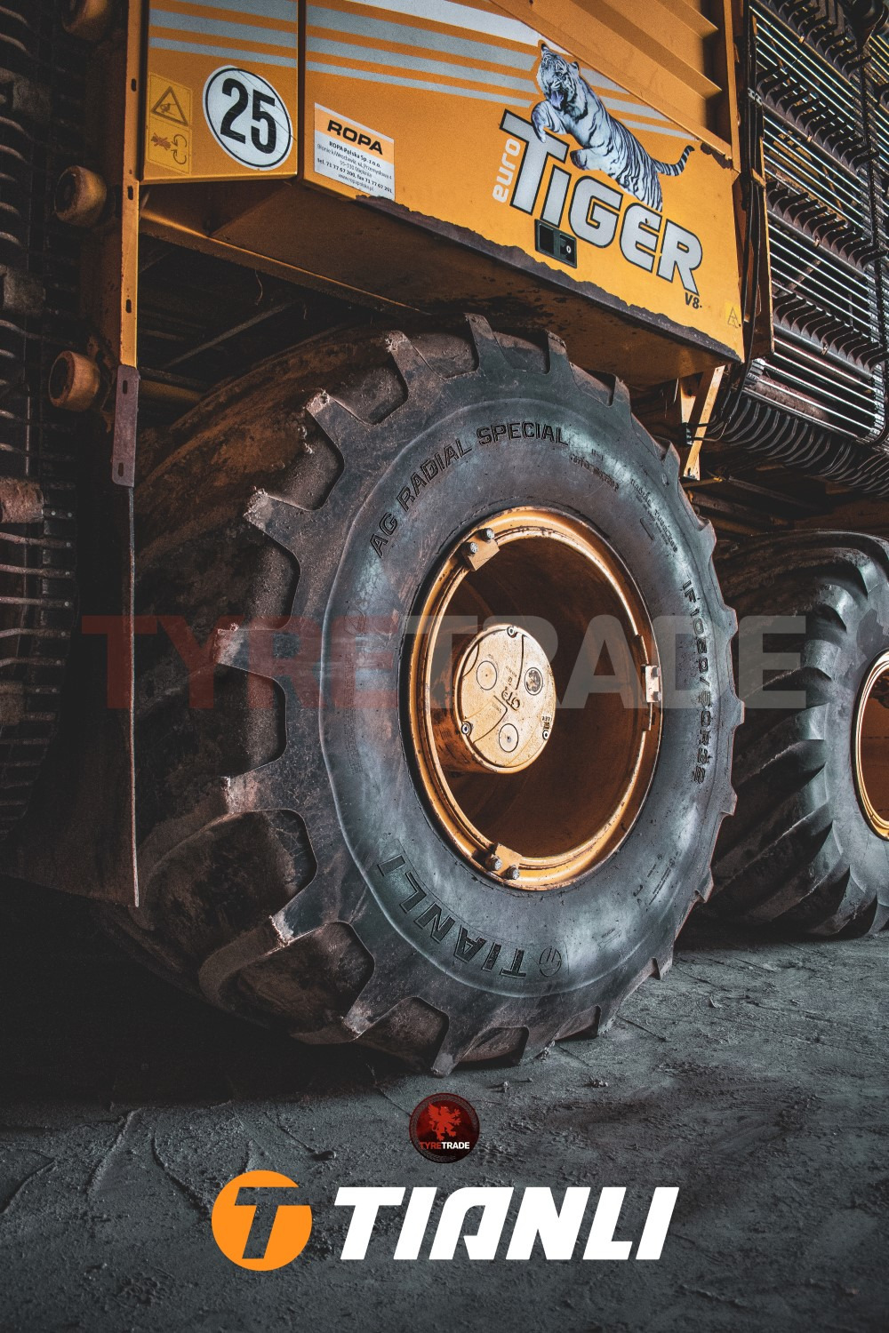 Tyre Trade Michał Nibelski undefined: picture 4
