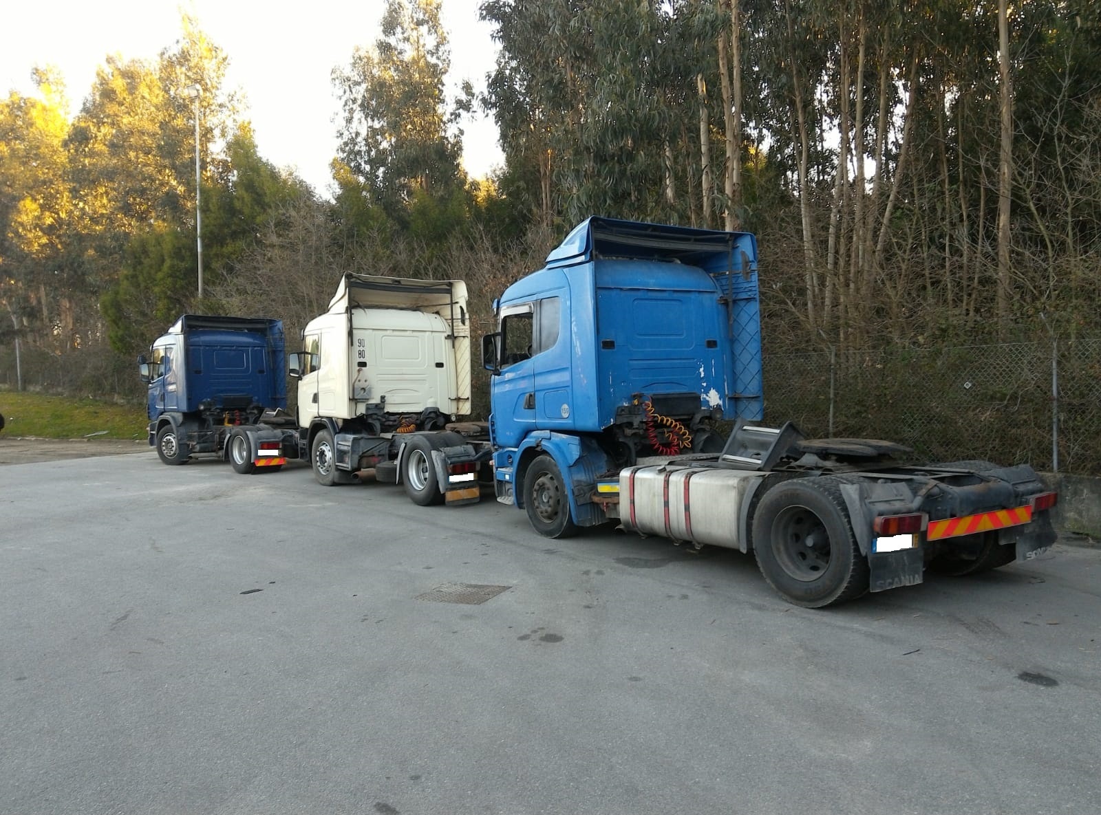 Britannia Export Consultants Limited - Tractor units undefined: picture 17