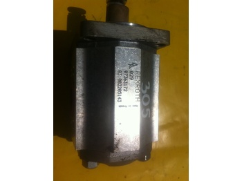 Hydraulic pump REXROTH