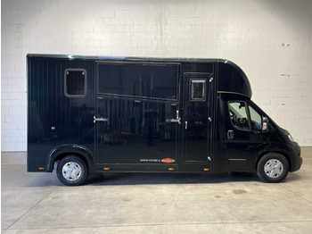 Horse truck FIAT