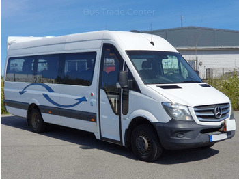 Minibus MERCEDES-BENZ Sprinter 516