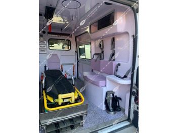 Ambulance ORION FIAT 290 DUCATO: picture 4