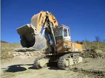 Crawler excavator LIEBHERR R 974
