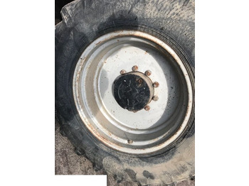 Rim FENDT