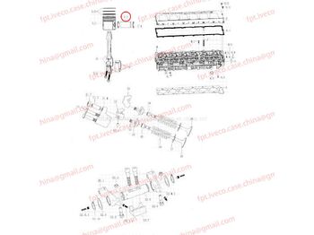 Piston/ Ring/ Bushing MAN