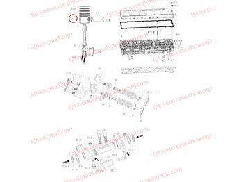 Piston/ Ring/ Bushing MAN