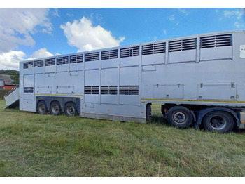 Livestock semi-trailer GRAY & ADAMS