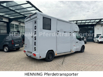 Livestock truck Renault Master 2-Sitzer: picture 2