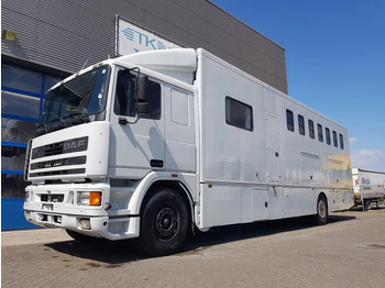 Horse truck DAF 95 350