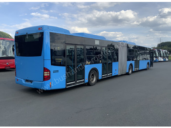 Articulated bus Mercedes-Benz Conecto G: picture 3