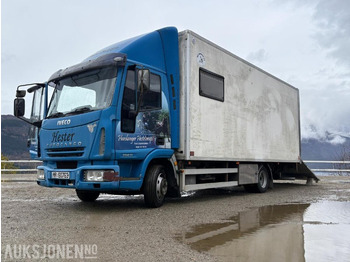 Livestock truck IVECO EuroCargo