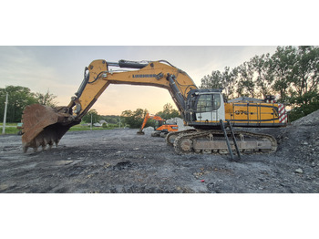 Crawler excavator LIEBHERR R976 HD: picture 2