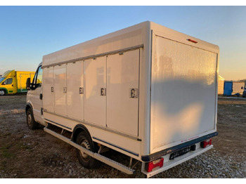 Refrigerated van Iveco Inny Iveco Iveco Daily 35-13 chłodnia 10 komorowa Mrożnia do -40C Model 2014: picture 2